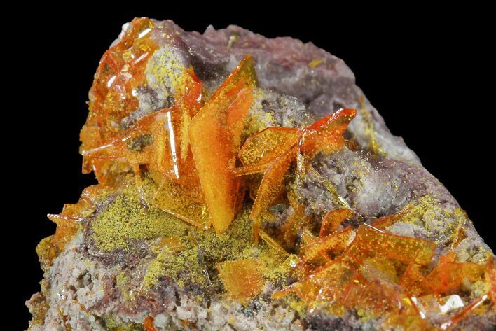 Orange Wulfenite Crystal Cluster - Rowley Mine, Arizona #118953